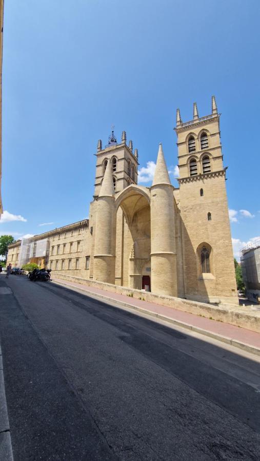 Le Petit Olivier En Coeur De + Parking Incl. Apartamento Montpellier