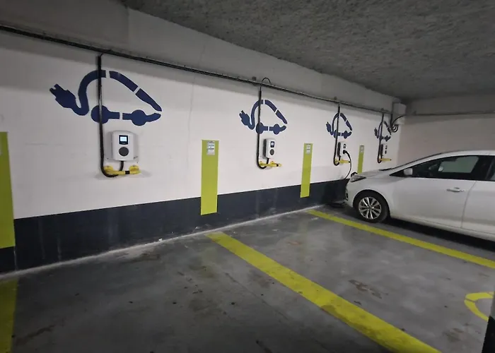 Le Petit Olivier En Coeur De Ville + Parking Incl.
