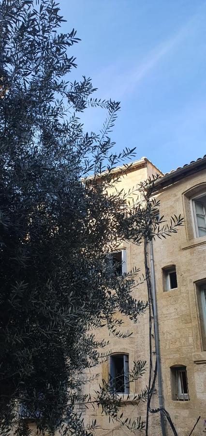 Apartment Le Petit Olivier En Coeur De + Parking Incl. Montpellier