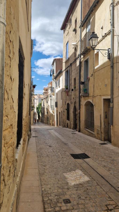 Le Petit Olivier En Coeur De + Parking Incl. *
