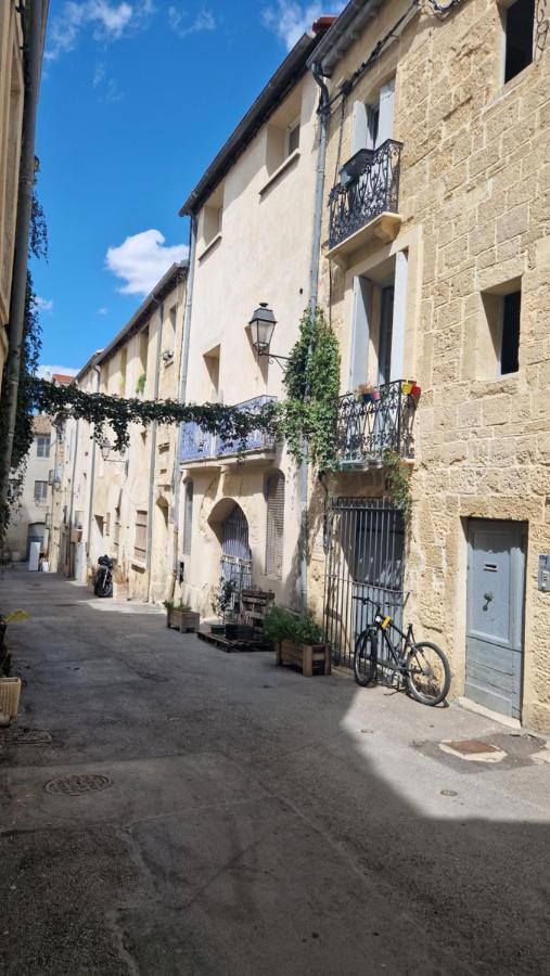Apartment Le Petit Olivier En Coeur De + Parking Incl.